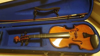 Violin